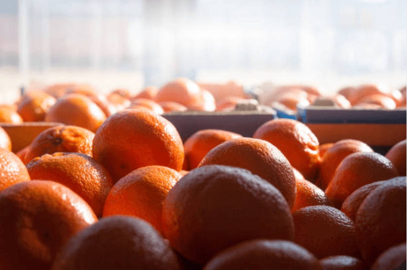 oranges in transit 