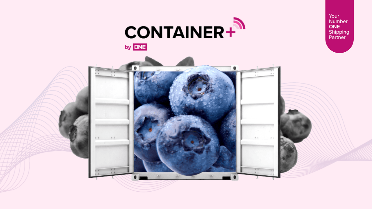 Fresh blueberries delivered in ONE reefer container
