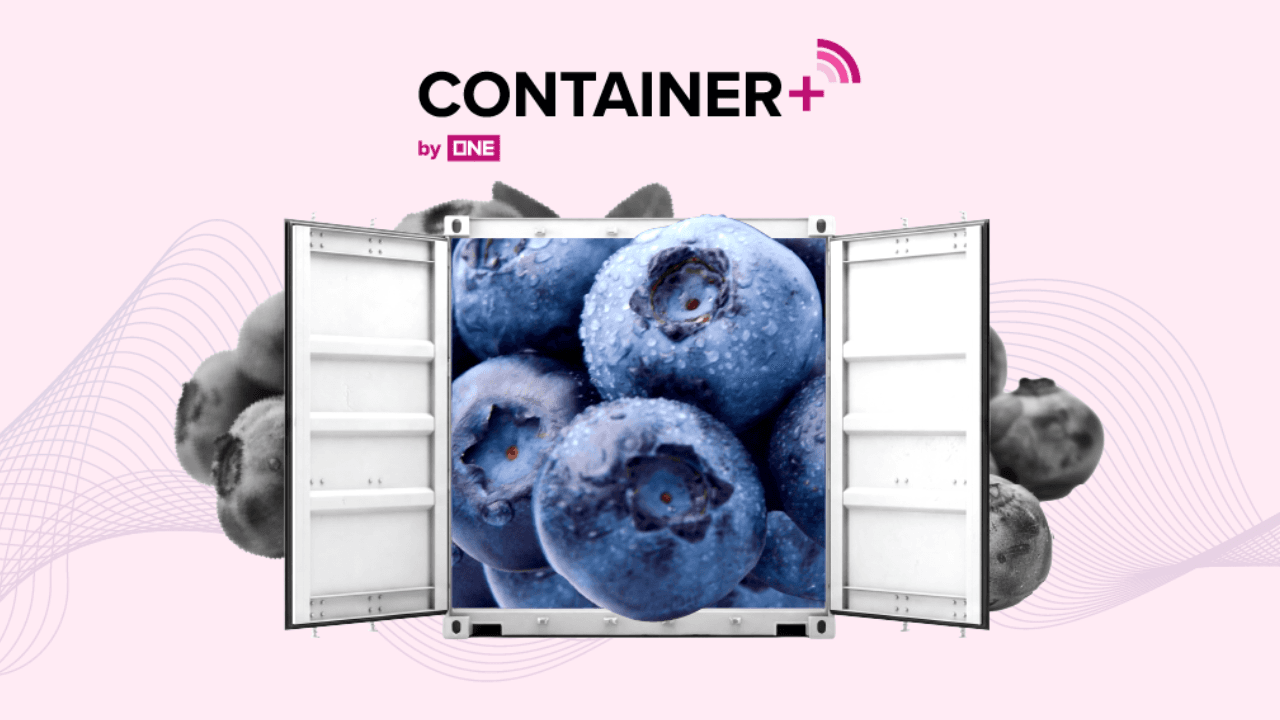 Fresh blueberries delivered in ONE reefer container