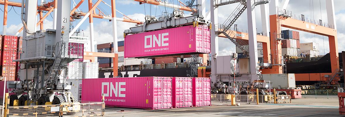 Securing dangerous cargo into shipping containers