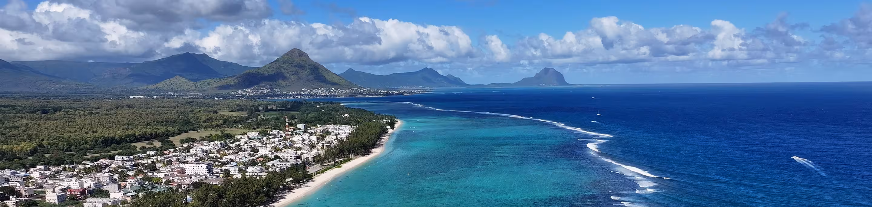 Ocean Network Express Mauritius Local Shipping Information