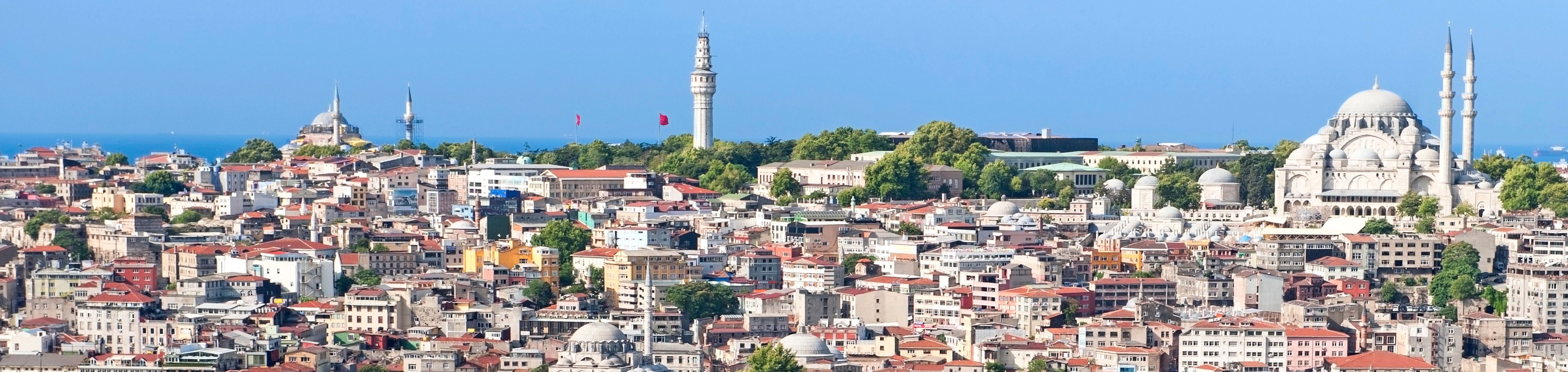 Ocean Network Express Türkiye Local Shipping Information
