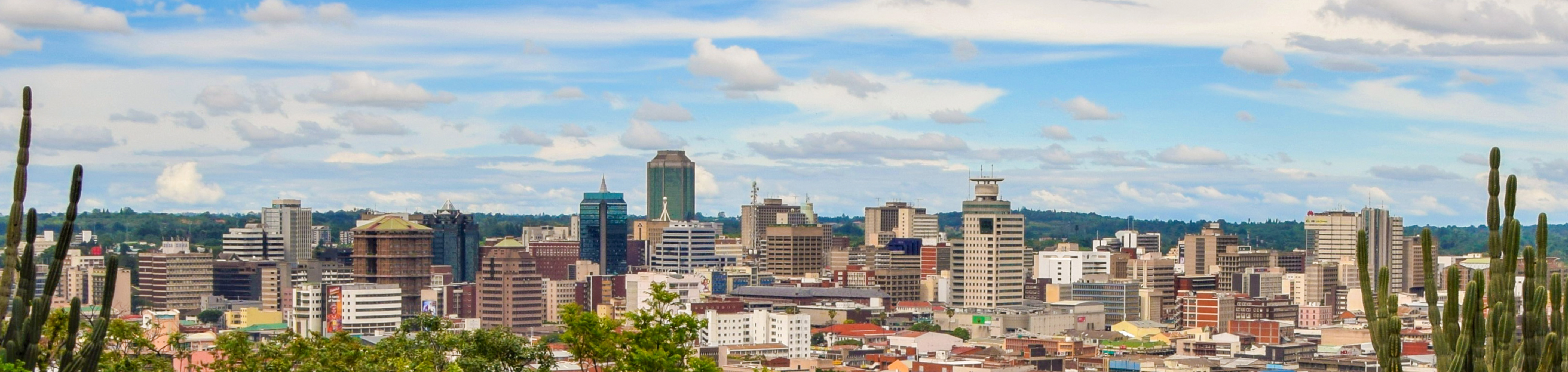 Ocean Network Express Zimbabwe Local Shipping Information