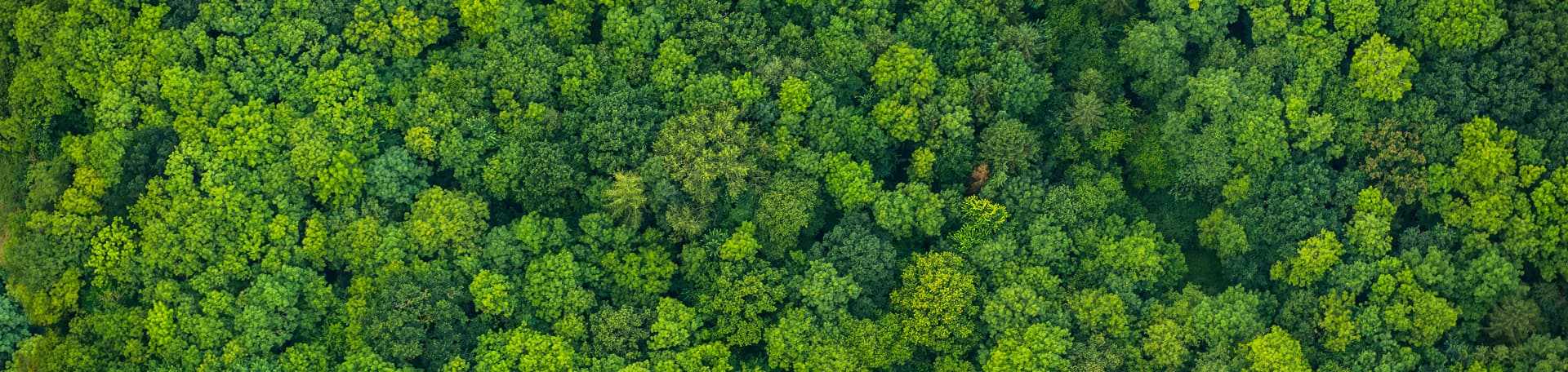 ONE carbon management reductions initiatives