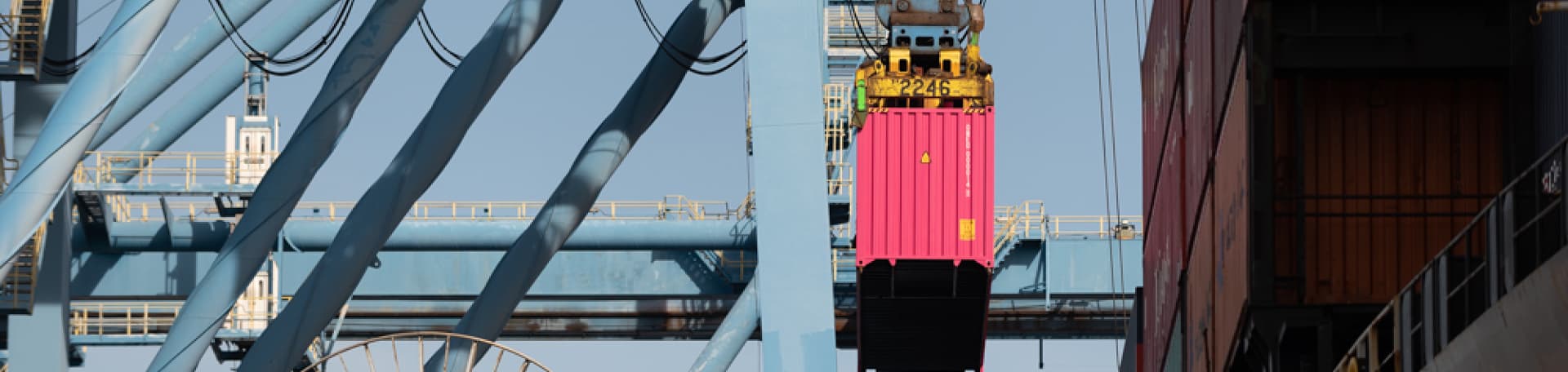 ONE sustainable supply chain management governance